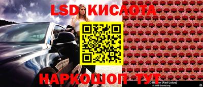крисы Владимир