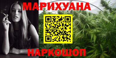 крисы Владимир