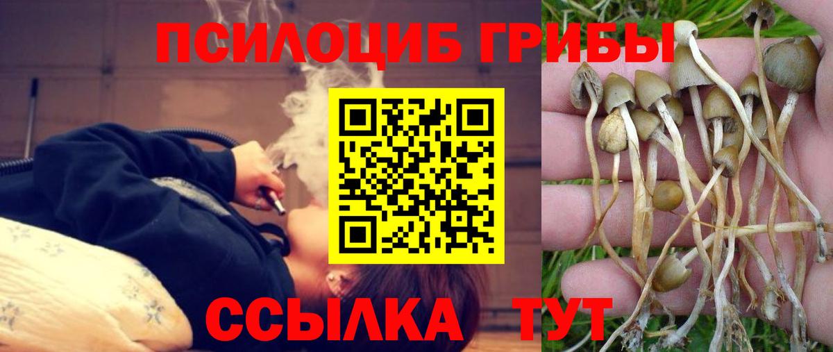 Псилоцибиновые грибы Magic Shrooms Борзя