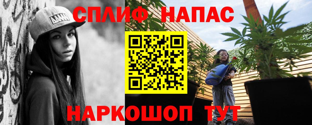 Экстази Борзя